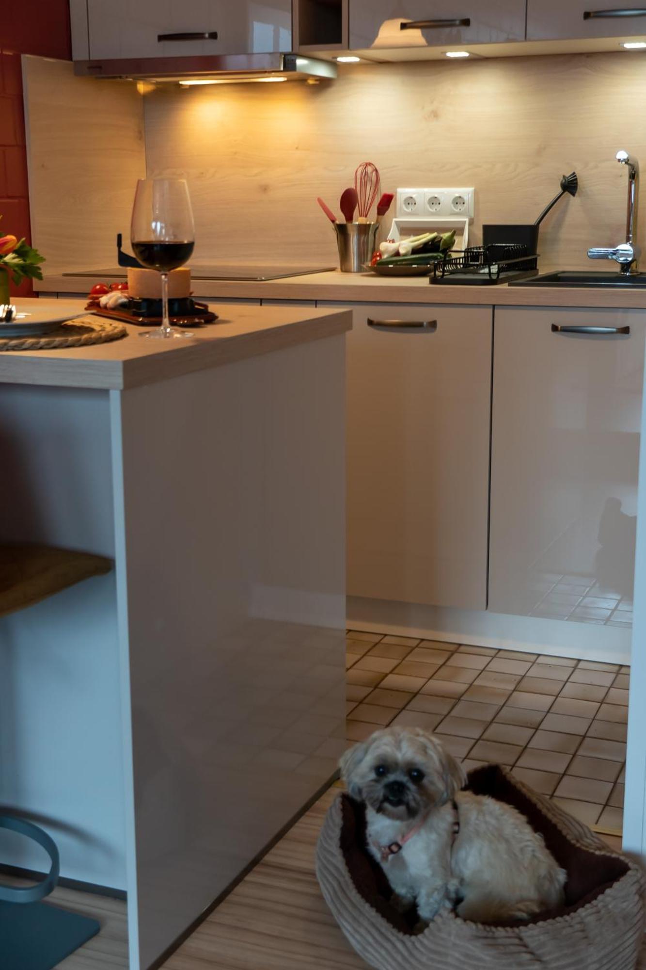 Fewo Harzer Weitblick, Hunde Willkommen, W-Lan, 2X Smart Tv, Dtv 4 Sterne, 4 Pfoten Braunlage Exterior photo